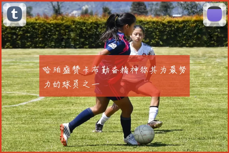 哈珀盛赞卡布勤奋精神称其为最努力的球员之一